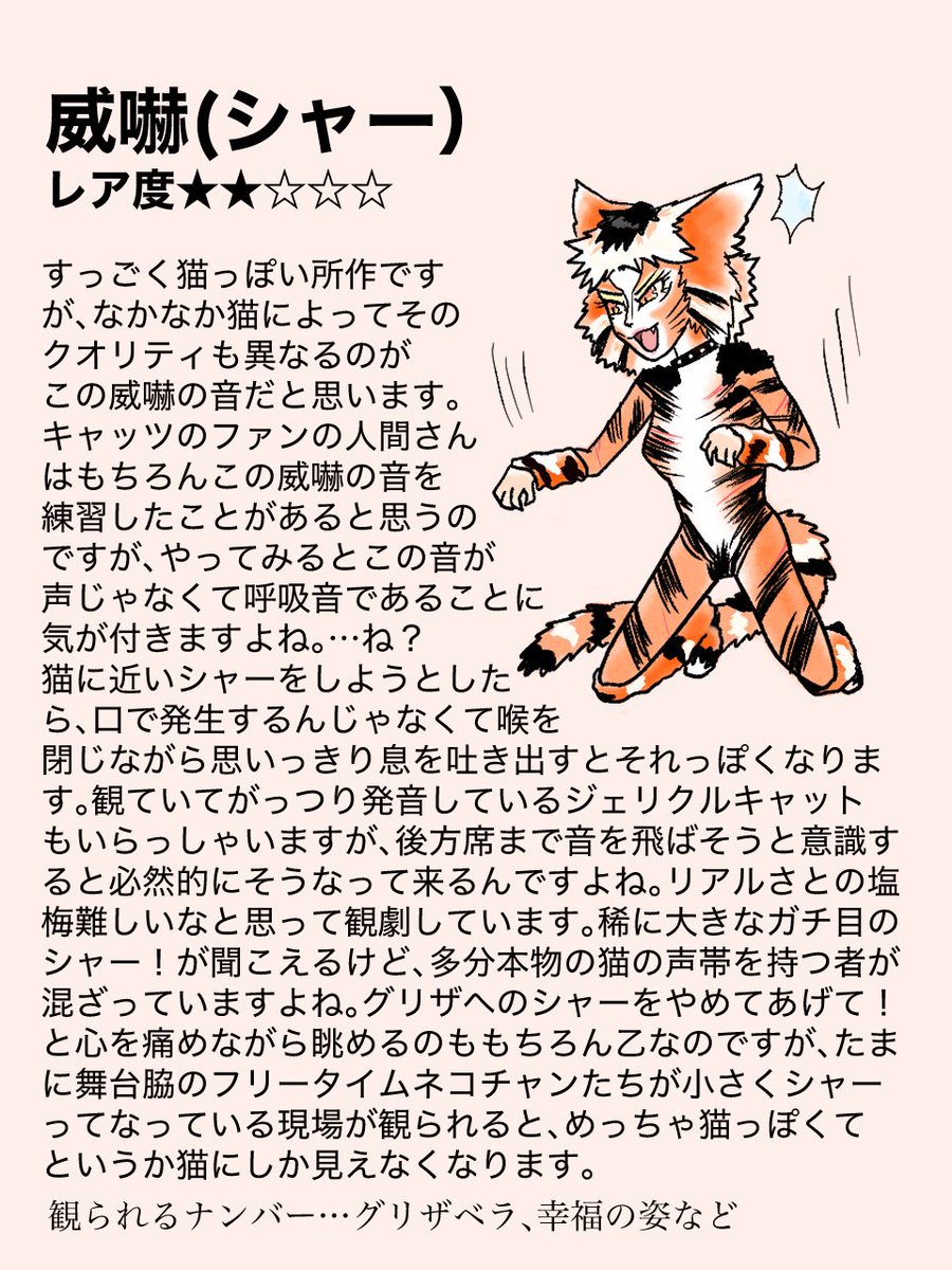 funkustrap's tweet photo. ＃ジェリクル猫しぐさ🗯️ https://t.co/dNiuzOUhPb
