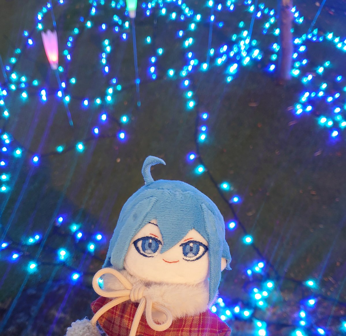 ◀左折 tweet media