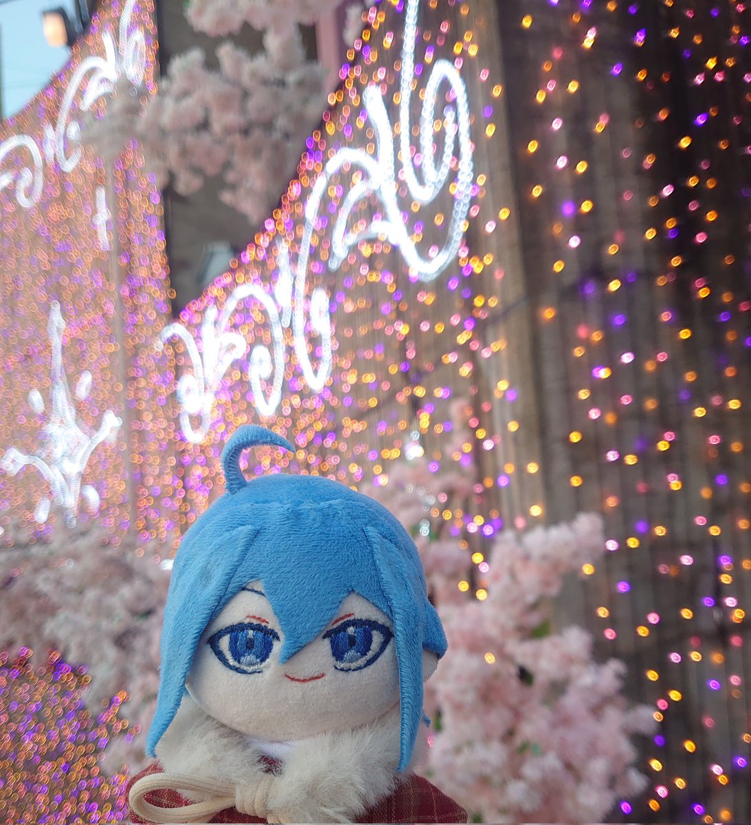 ◀左折 tweet media
