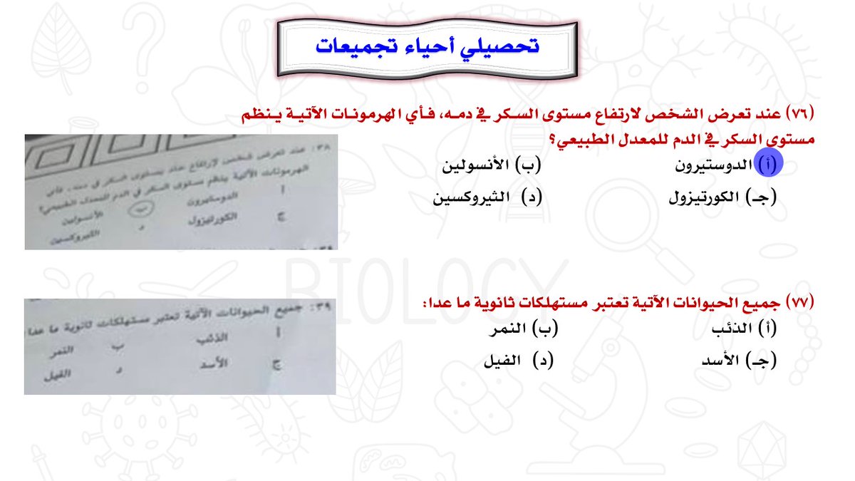 rebio5's tweet photo. أهم تجميعات تحصيلي (11) #التحصيلي_علمي #تحصيلي_أحياء #القدرات #الرخصة_المهنية_علوم #الرخصة_المهنية_أحياء #الرخصة_المهنية_للمعلمين_والمعلمات #تحصيلي_علمي #تحصيلي https://t.co/kuHjVmPDA8