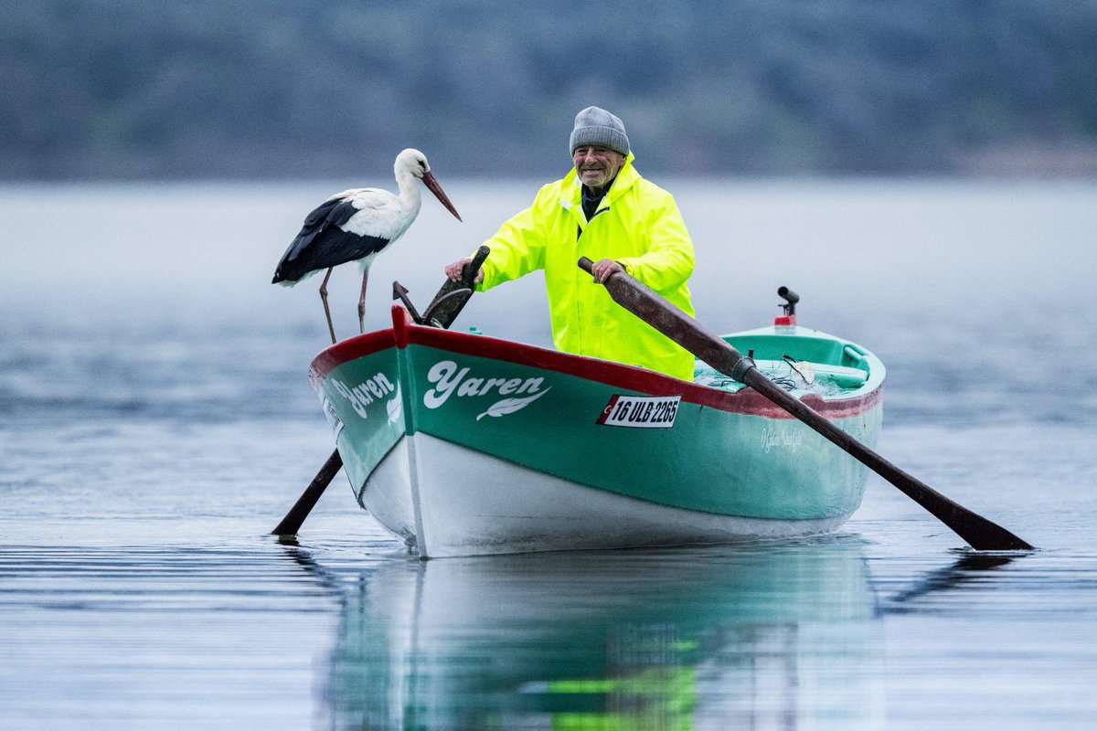 Her canlının bir hikâyesi var. 💚

Adem Amca ile Yaren Leylek’in tam 15 yıldır süren buluşması ise bu inancın en dokunaklı kanıtı…

Afrika’dan binlerce kilometre kanat çırparak gelip her yıl aynı yere, aynı insana dönmek… Bu; doğanın kurduğu güçlü bağların, sessiz ama derin bir
