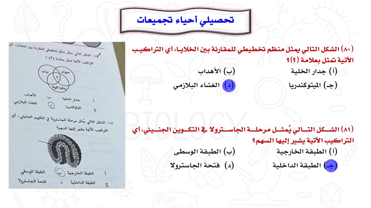 rebio5's tweet photo. أهم تجميعات تحصيلي (12) #التحصيلي_علمي #تحصيلي_أحياء #القدرات #الرخصة_المهنية_علوم #الرخصة_المهنية_أحياء #الرخصة_المهنية_للمعلمين_والمعلمات #تحصيلي_علمي #تحصيلي https://t.co/4Q8t9mGxSF
