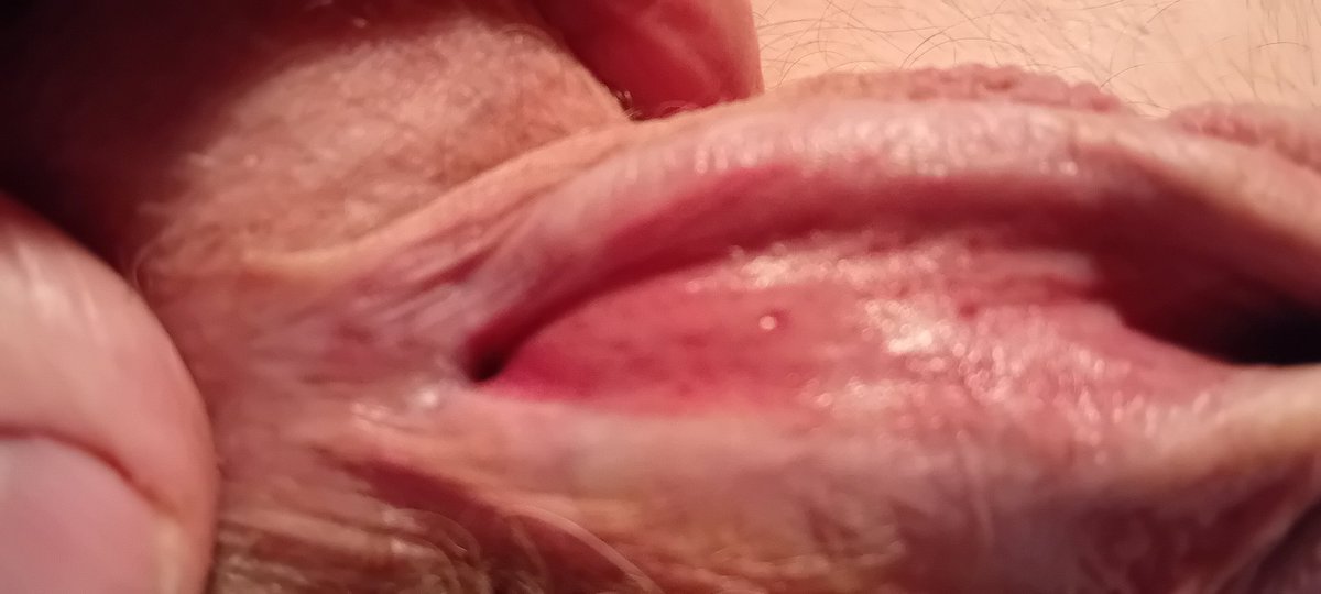 jasper parrot tweet media