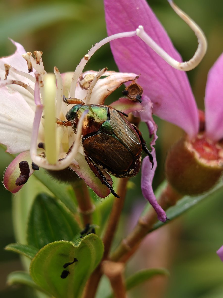 Sharon Bava tweet media