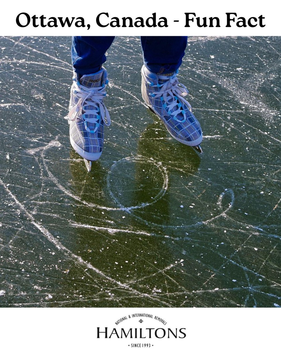 Hamiltons Removals tweet media