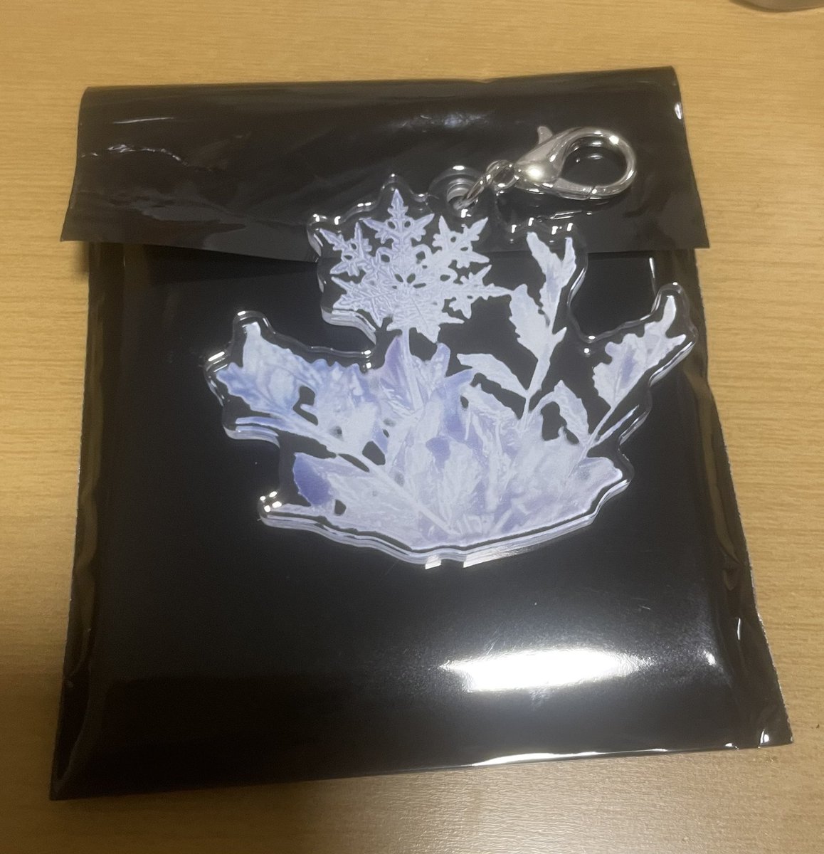 あい🦑🦁📦 tweet media
