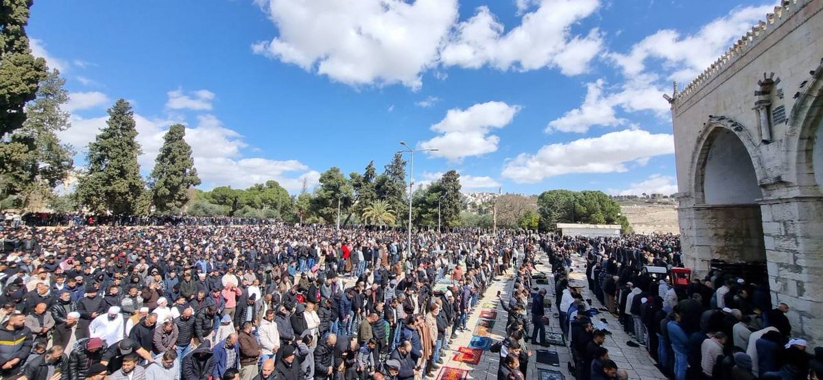 Palestine Highlights tweet media