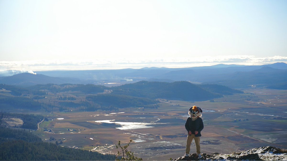 🌿Dog With A Blog🌿🔜FE tweet media