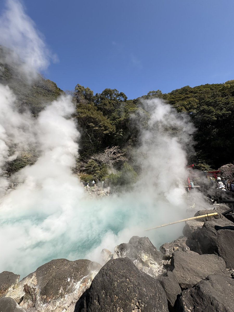 みーこ(ねぼすけ） tweet media