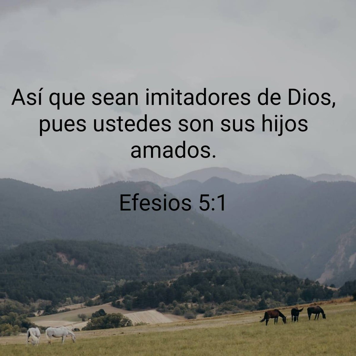 Saber que Dios nos ama nos proporciona fuerza y capacidad para imitarlo, Si nos percatamos de la paternidad divina, hemos de notar que produce en nosotros el amor fraternal.