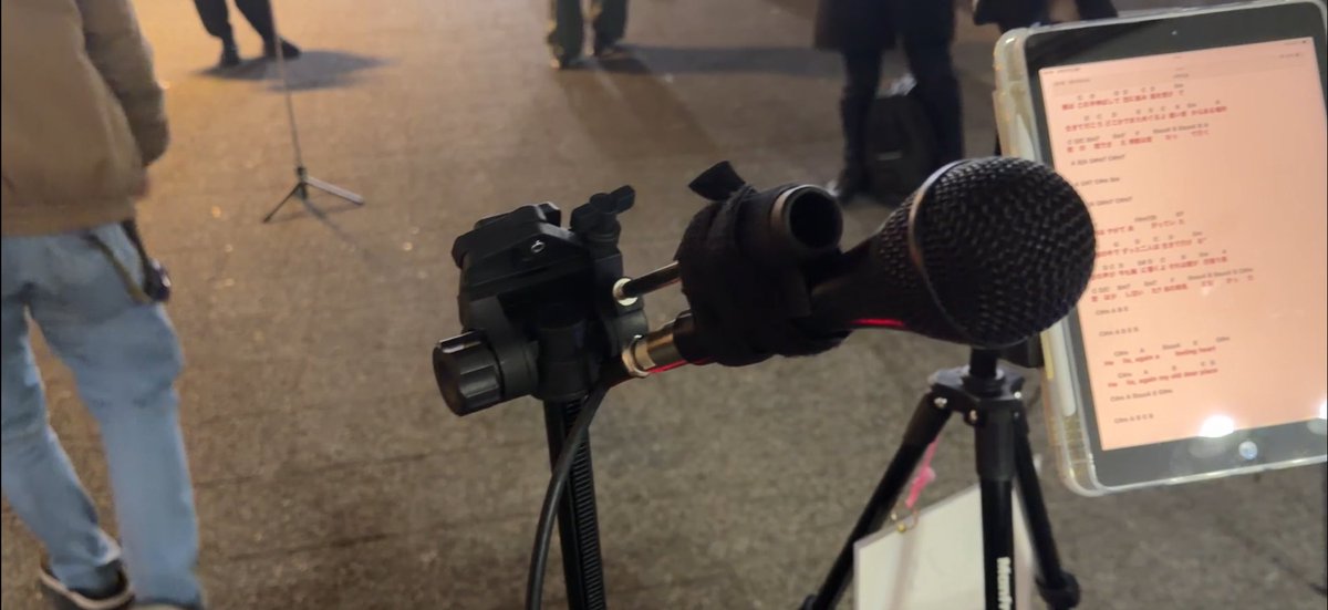 紫乃(しの) tweet media