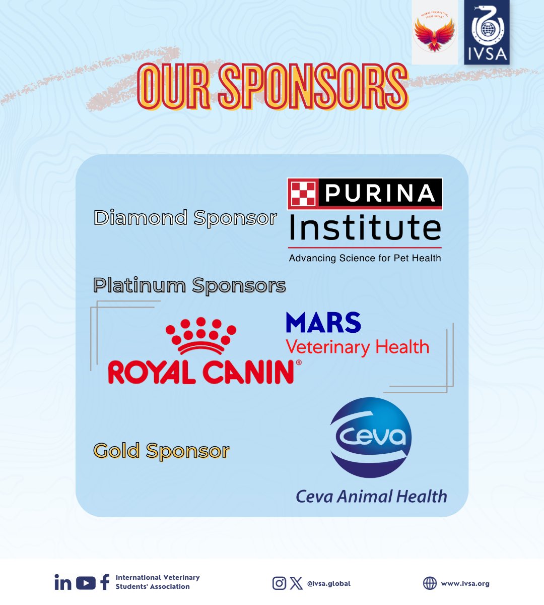 IVSA GLOBAL tweet media