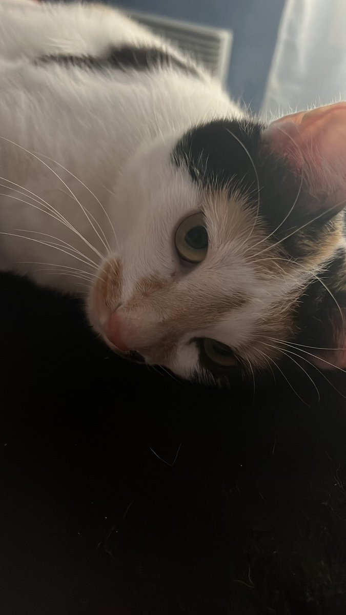 jeanne bg tweet media