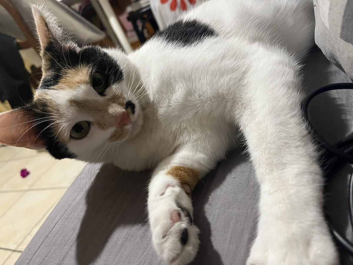 jeanne bg tweet media