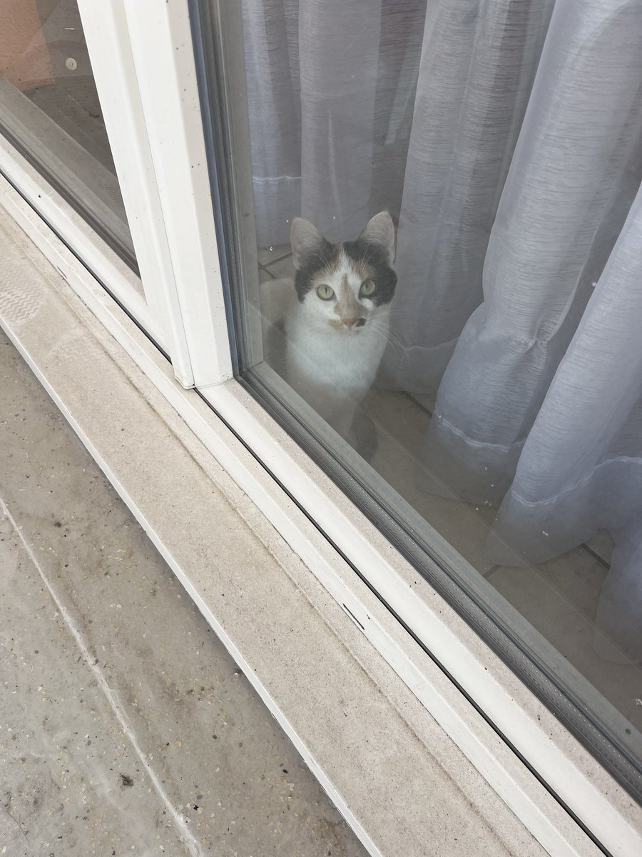 jeanne bg tweet media