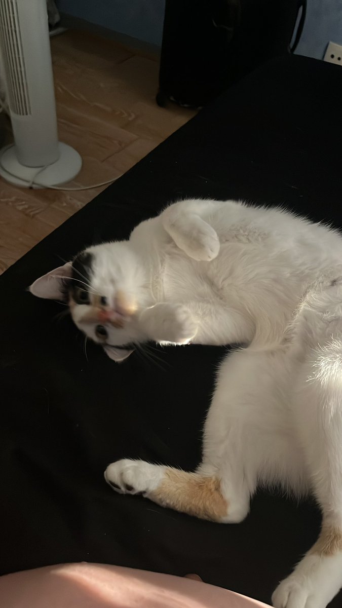 jeanne bg tweet media