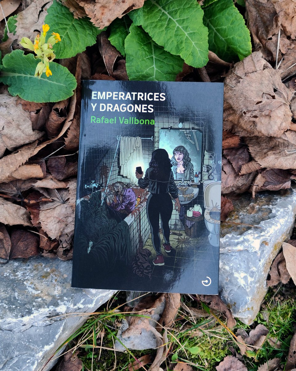 Menoscuarto tweet media