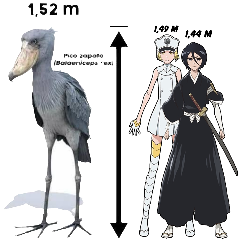 fica a curiosidade pra vcs, Liltotto e Rukia são menores que uma