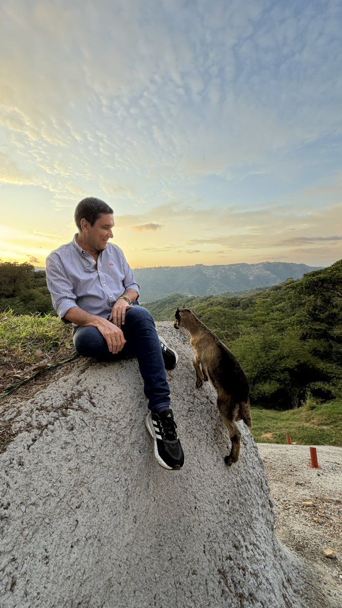Juan Carlos Cárdenas tweet media