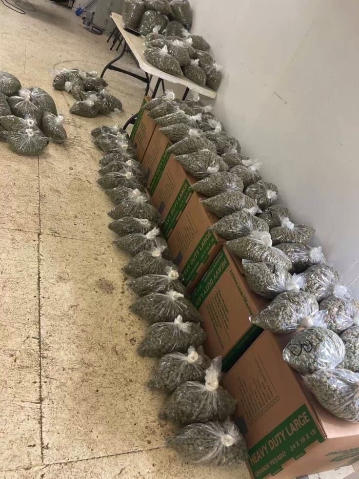 Lilpop114893's tweet image. Three different flavors in hml #atlplug #atlantaplug #gasin #atlga #atlantags #atlanta