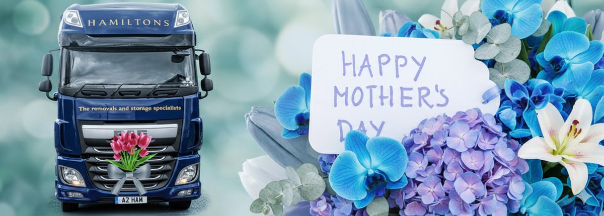 Hamiltons Removals tweet media