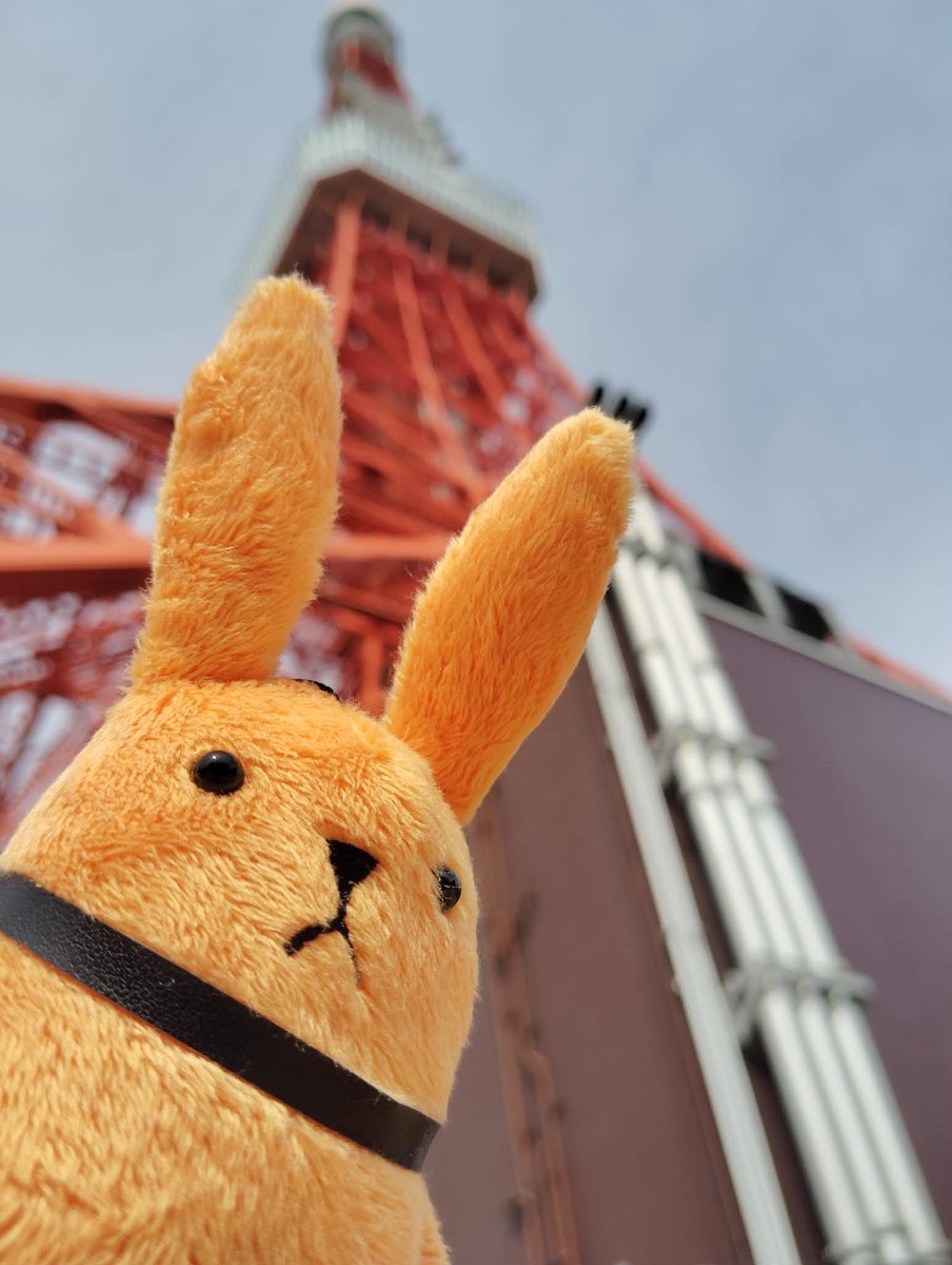 りょん/取引用アカウント tweet media