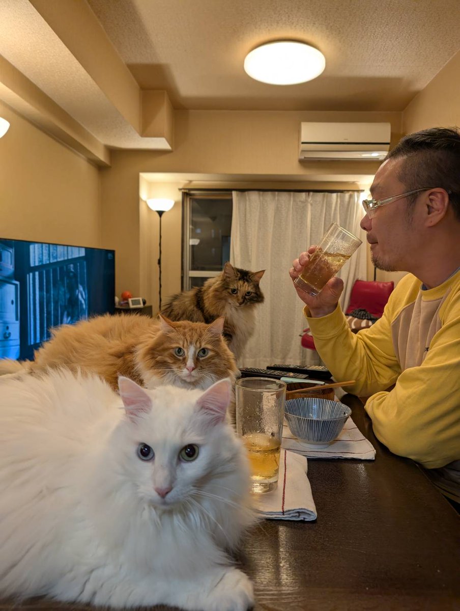佐藤耕平 tweet media