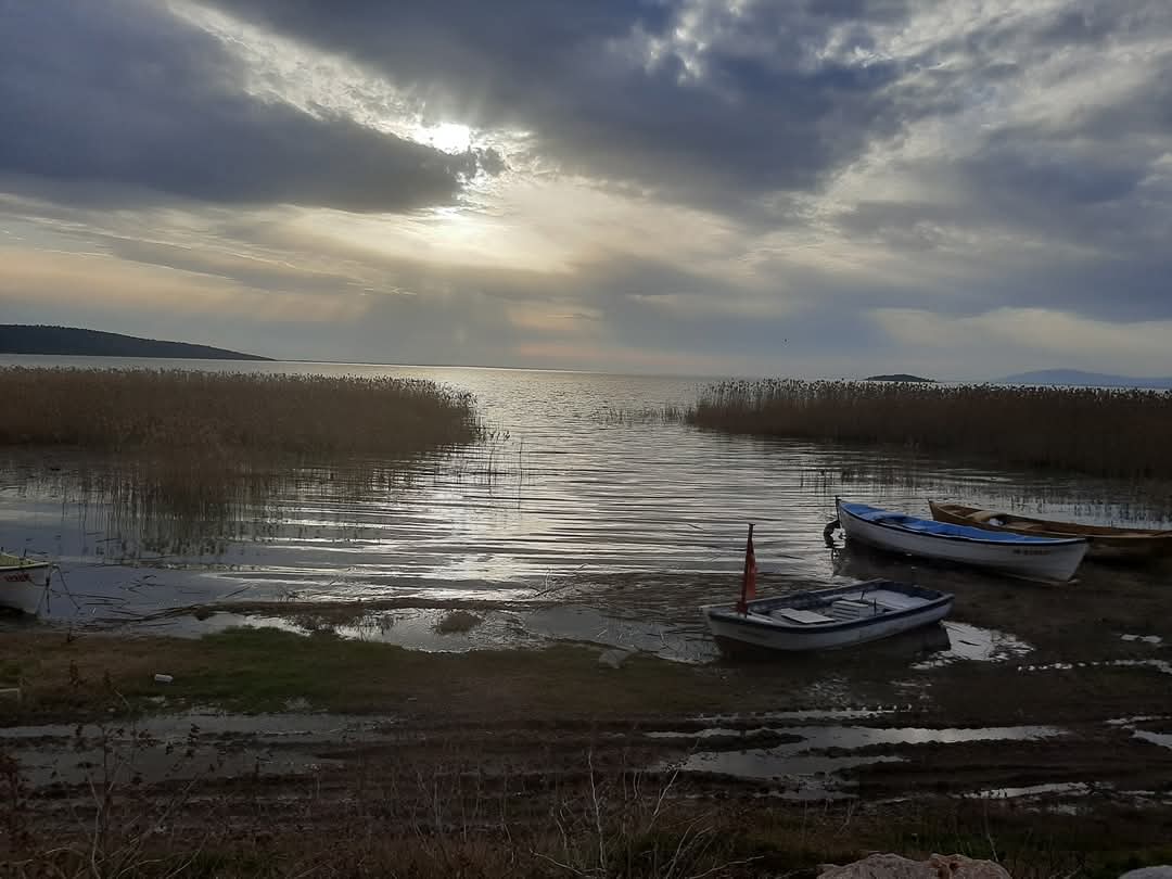 Adem amcayla, Yaren leyleğe ve elbette Alper Tüydeş'e bir "Ülkü Tamer" şiiri: "Her akşam leylekler geçecek üstünden çarşılara taşınan İlk leyleği gören haykıracak: ‘Bak, bahar geldi!"