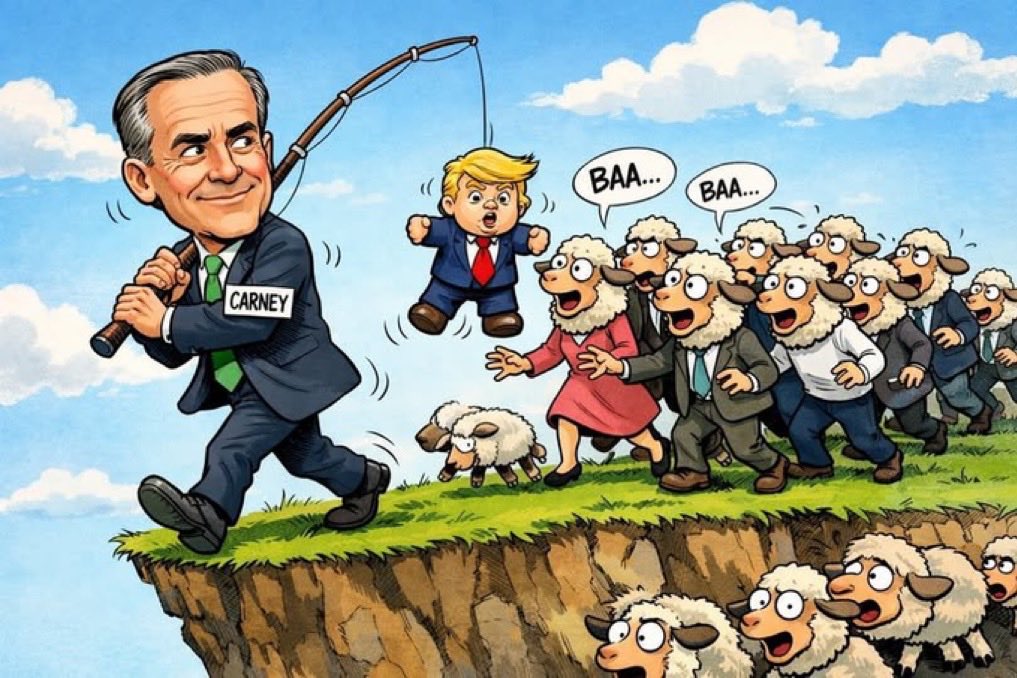 Cette image symbolise la force de Mark Carney qui utilise Trump pour se faire du capital politique. 
Les brebis qui suivent Carney sont les boomers qui s'abreuvent sur les médias gauchistes subventionnés et biaisés comme Radio-Canada, CBC TVA et CTV. #Carney #RadioCanada #CBC