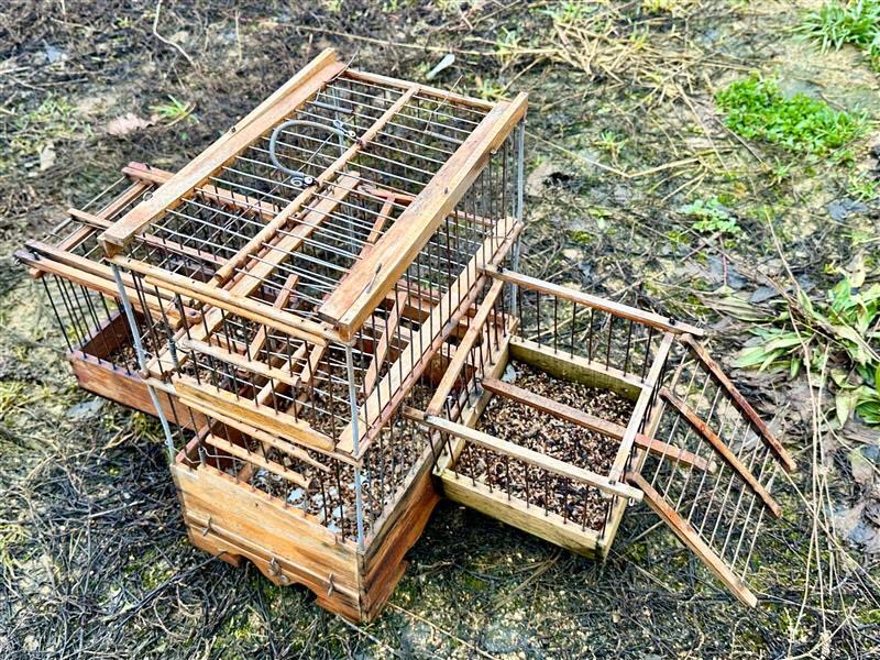 Committee Against Bird Slaughter (CABS) tweet media