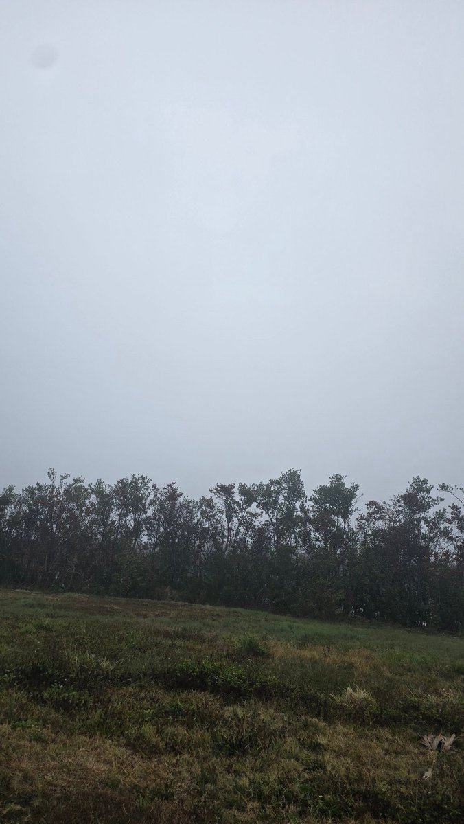 Gavin Richmond tweet media