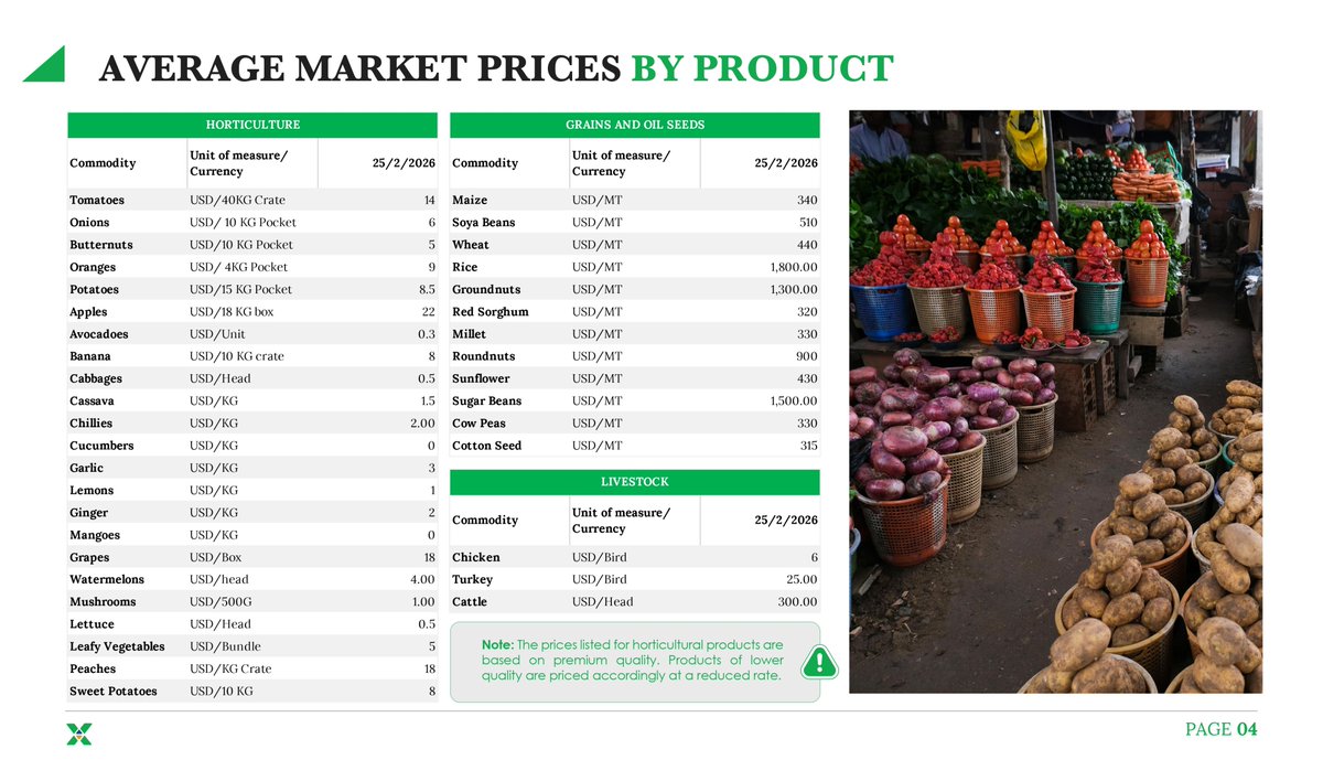 Zimbabwe Mercantile Exchange tweet media