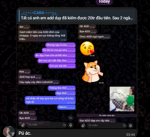 _Lap1_'s tweet photo. @bestcallsolana TỰ ỈA TỰ ĂN HÀI VCL :)) https://t.co/Fisbm2L3TG