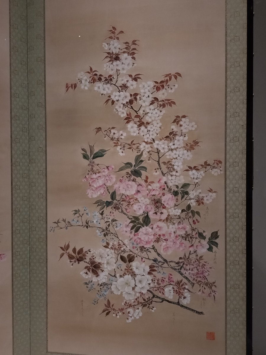 跡見玉枝は桜を描く画家として知られています。この絵は、2025年3〜5月