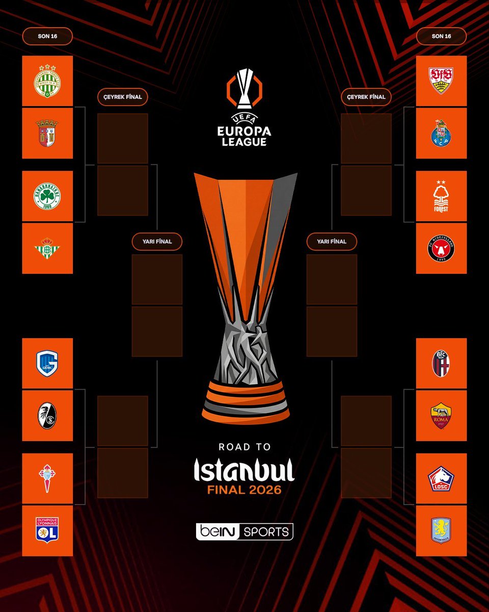 Stewolf 🐺 tweet media