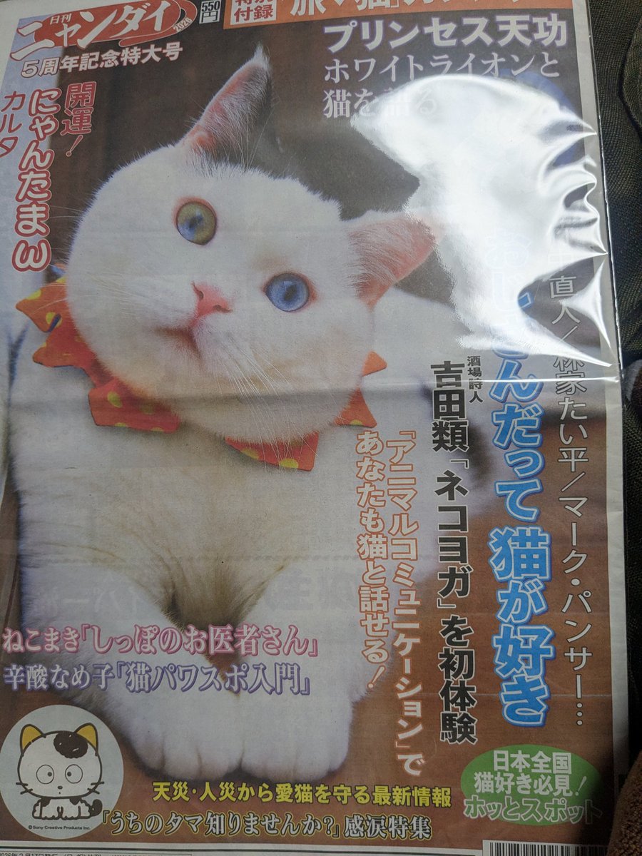 かぉ( ・∀・)ノ● tweet media