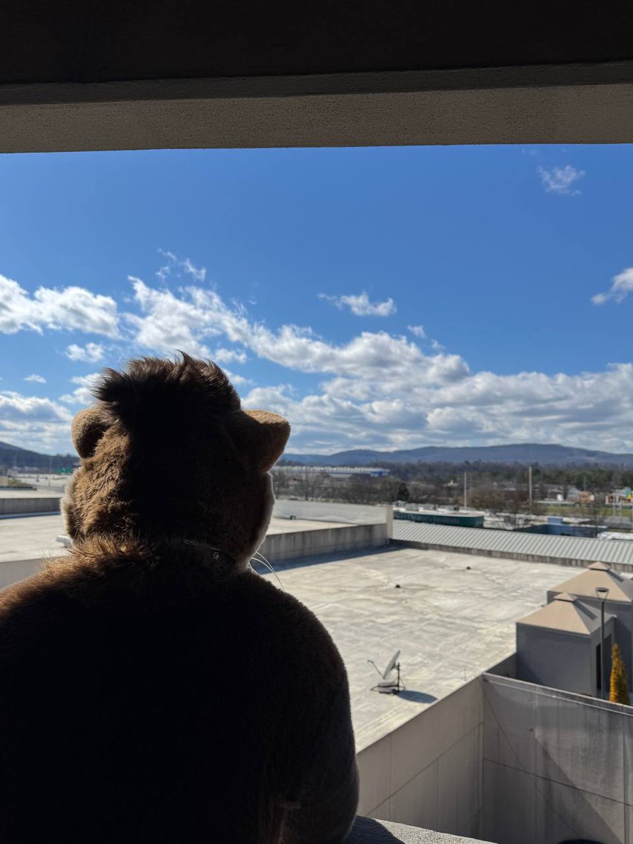 James 🦘 🦦 tweet media