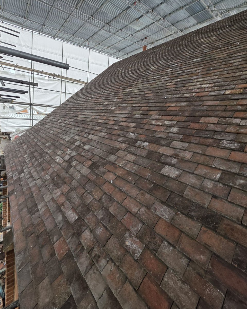 Whitethread tweet media