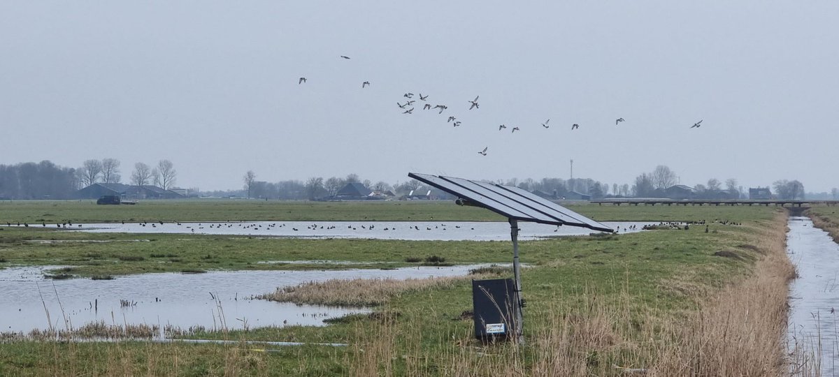 BoerenNatuur Groningen West tweet media