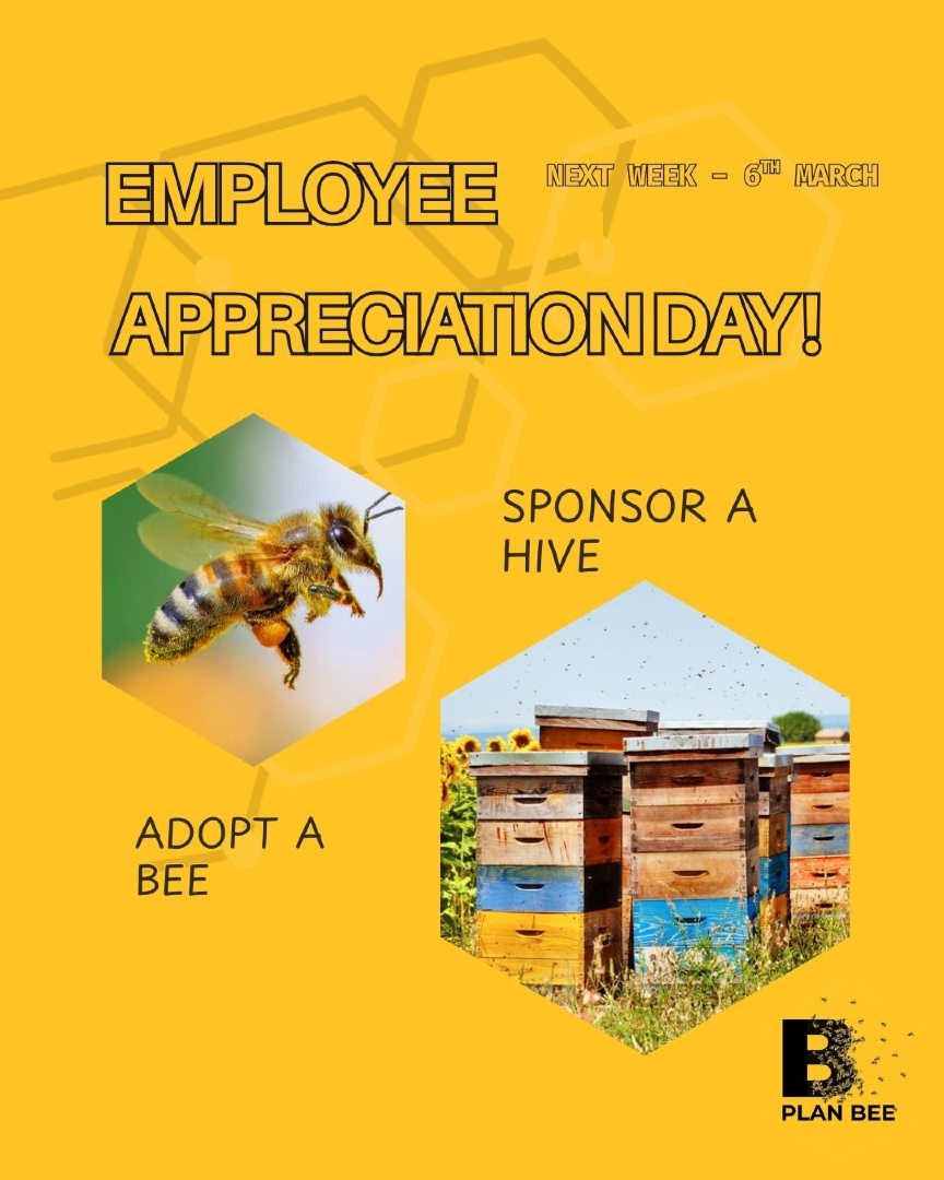Plan Bee Ltd tweet media