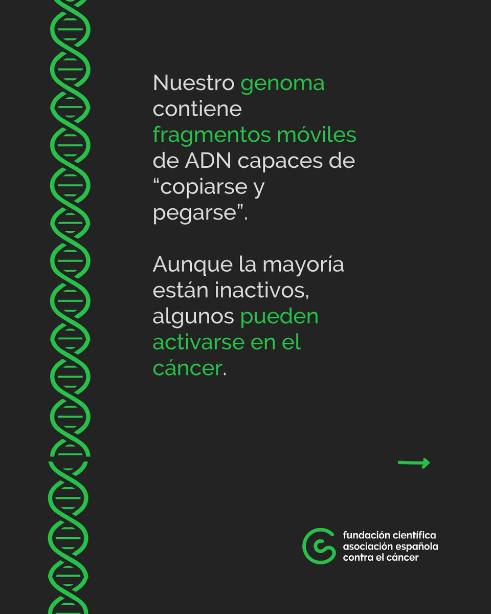 Contra el Cáncer Investigación tweet media