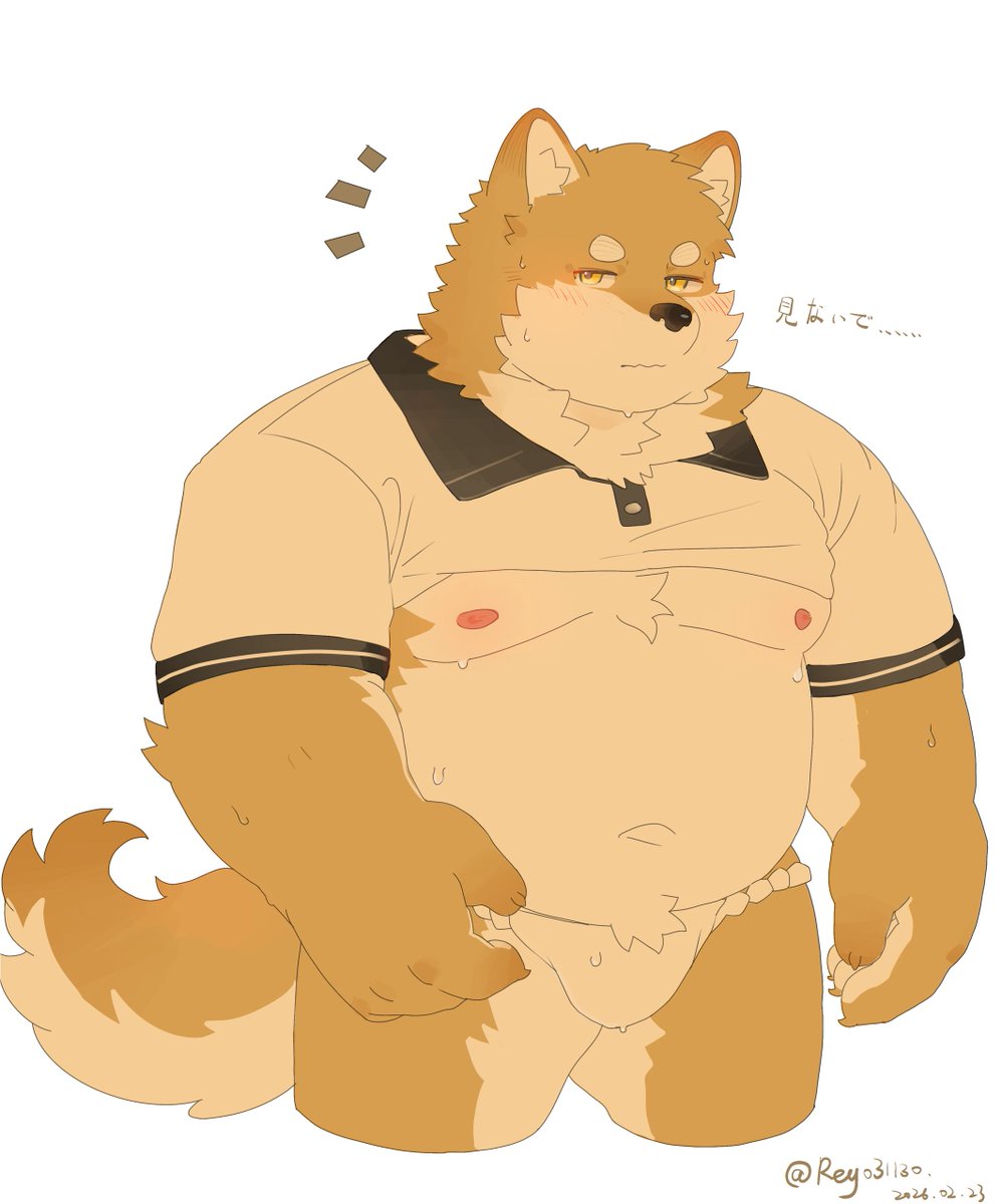 极地海豹幼崽 tweet media