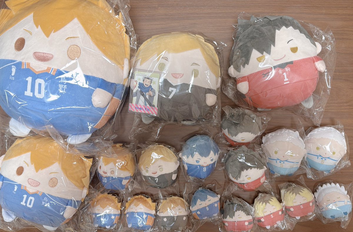 ハイキュー ぬいくじ くじメイト ふわコロりん てのりんず 譲 B賞 日向