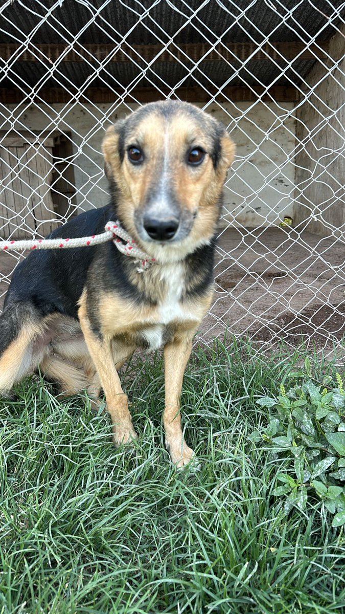 Sabías que podés colaborar con $15000 todos los meses suscribiendote a la Misión Solidaria desde tu cuenta de mercado pago
Con tu ayuda podemos seguir adelante!
mercadopago.com.ar/subscriptions/…