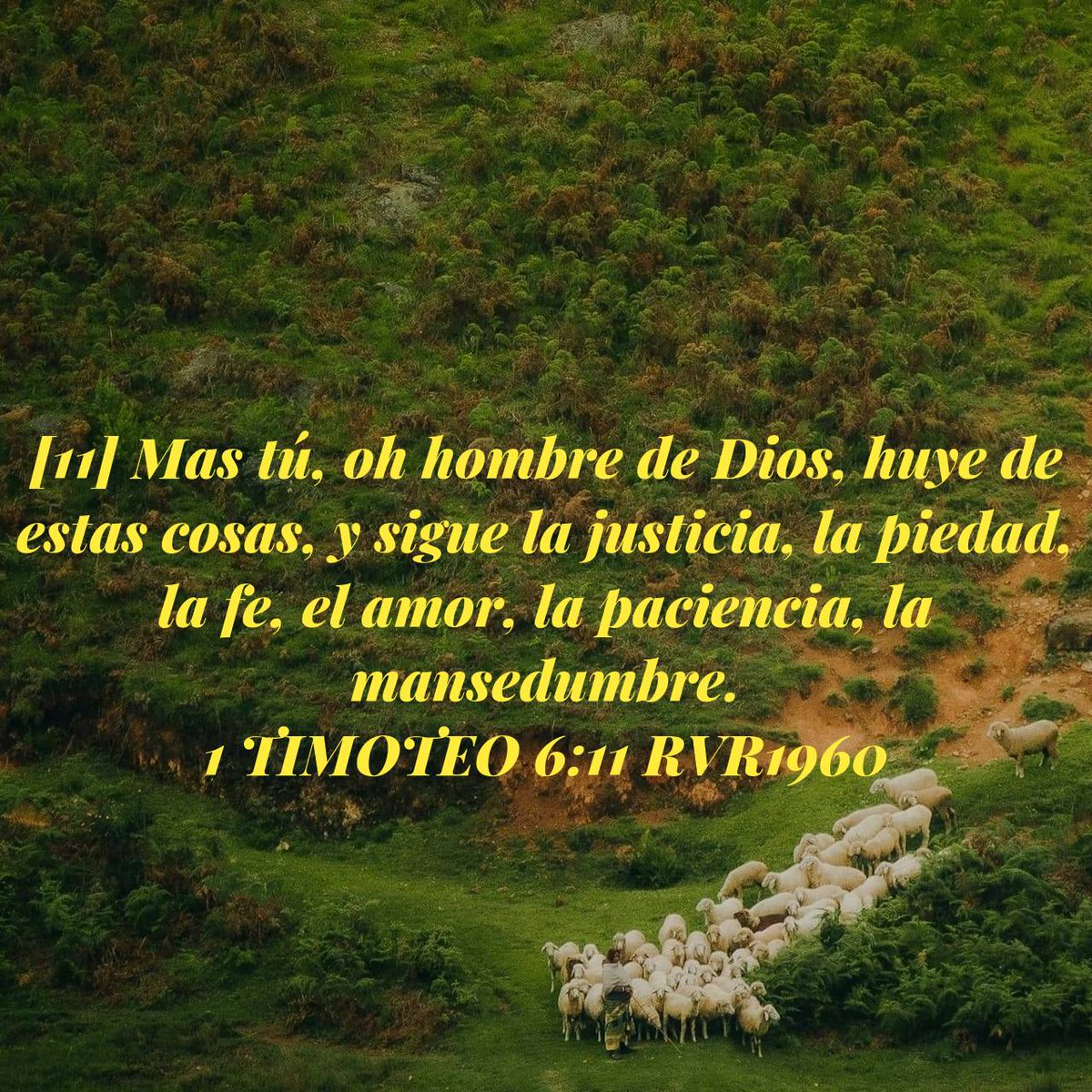 1 TIMOTEO 6:11 cada día debemos obedecer con gozo la palabra de Dios, y así nuestro padre celestial estará agradado y también gozoso, por el buen testimonio que damos no sólo ante él sinó también delante del hombre, pues Dios quiere que seámos a su imagen y semejanza 🙏🏼