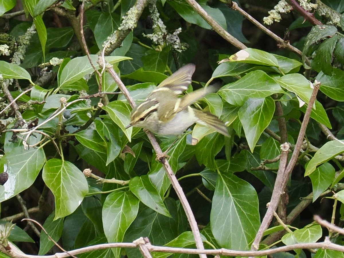 Rob Rackliffe tweet media