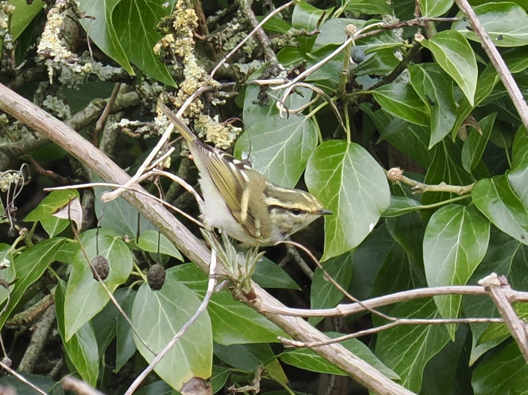 Rob Rackliffe tweet media