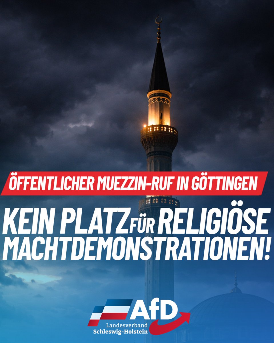AfD Schleswig-Holstein tweet media