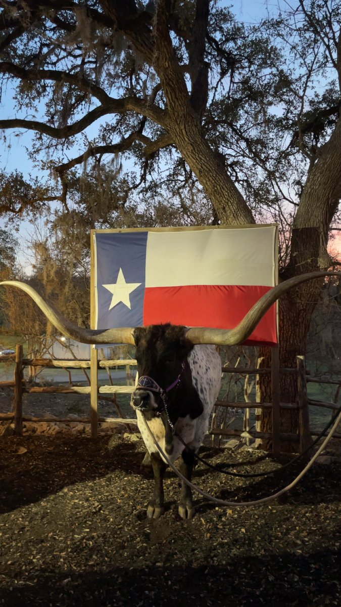 brown_rye's tweet photo. Another National sales meeting in the books! #Texas#San Antonio#JW Marriott#NSM#Shockweek2026 https://t.co/U3egu73dKp
