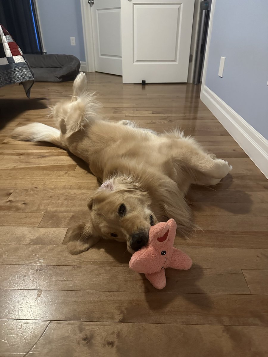 🇨🇦Lynn & Murphy of the North🇨🇦 tweet media